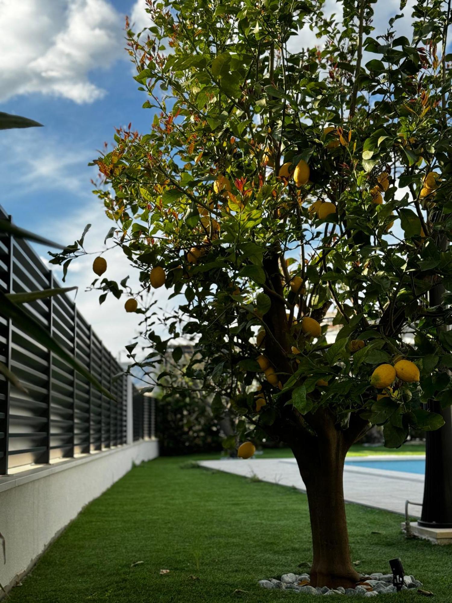 Villa Margita Сплит Экстерьер фото